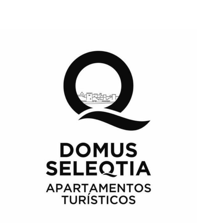 Domus Seleqtia Plaza De Santiago Daire Caces Dış mekan fotoğraf